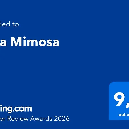 Mimosa 코라레호