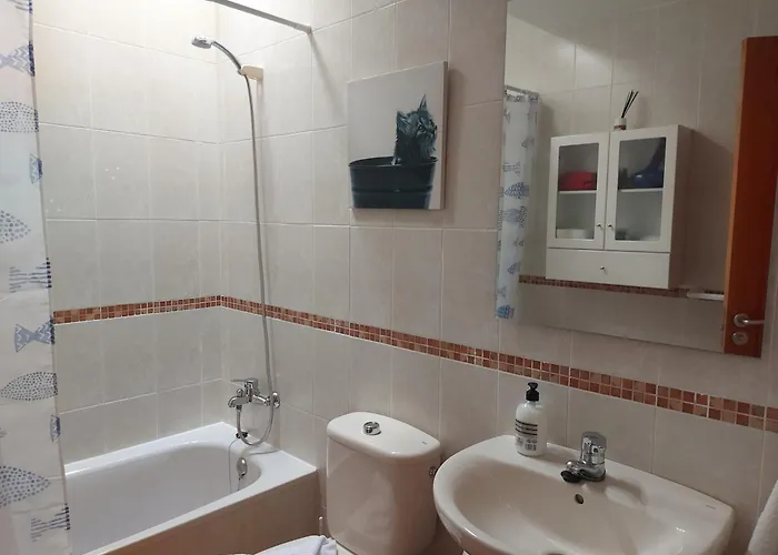 Mimosa Nyaraló Corralejo